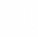 Wedding House Düsseldorf 2023